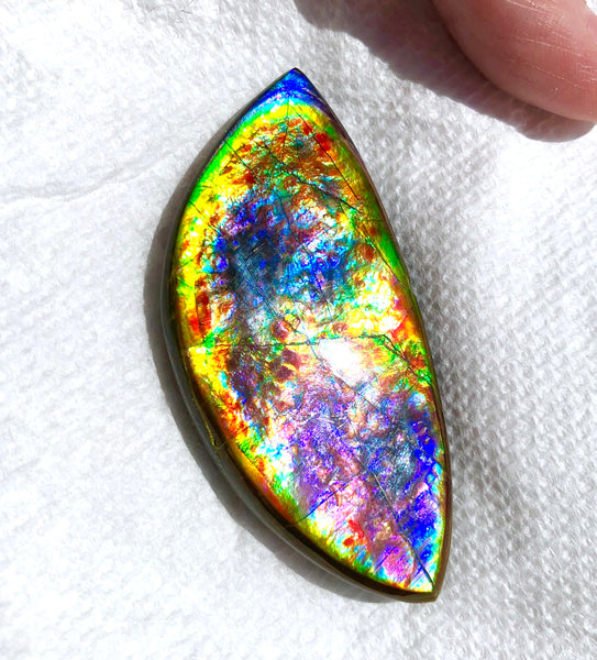 68 x 31x 6.5 mm RARE Pink with gorgeous colors! Natural  Free Form . FFNT 123 Super bright  ナチュラル　ルース　アンモライト フリーフォーム Free shipping