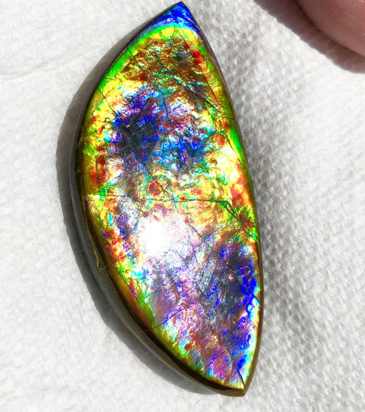 68 x 31x 6.5 mm RARE Pink with gorgeous colors! Natural  Free Form . FFNT 123 Super bright  ナチュラル　ルース　アンモライト フリーフォーム Free shipping