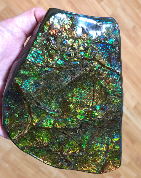 CS-156 Ammolite 180 x115x20㎜ Collector Stone -XXL Dysplay Gem Free shipping! アンモライト コレクターストーン 送料無料！