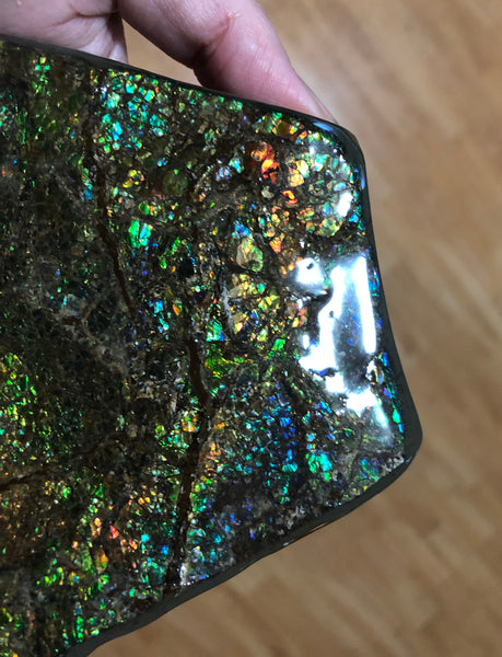 CS-156 Ammolite 180 x115x20㎜ Collector Stone -XXL Dysplay Gem Free shipping! アンモライト コレクターストーン 送料無料！