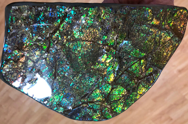 CS-156 Ammolite 180 x115x20㎜ Collector Stone -XXL Dysplay Gem Free shipping! アンモライト コレクターストーン 送料無料！