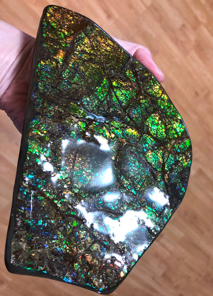 CS-156 Ammolite 180 x115x20㎜ Collector Stone -XXL Dysplay Gem Free shipping! アンモライト コレクターストーン 送料無料！