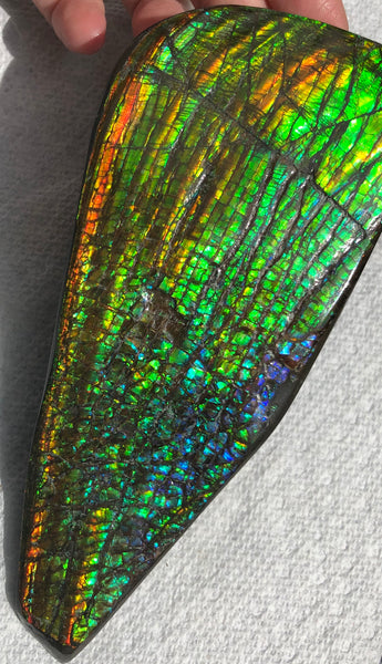 CS-164 Ammolite 152x65mm Collector Stone -Natural XL Display Gem Free shipping! アンモライト コレクターストーン 送料無料！