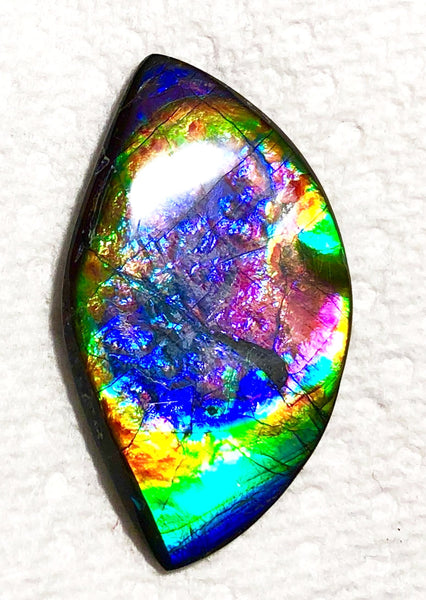 51 x 29.5x 4 mm Premium RARE Pink with gorgeous colors! Natural  Free Form . FFNT 124 Super bright  ナチュラル　ルース　アンモライト フリーフォーム Free shipping