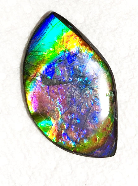 51 x 29.5x 4 mm Premium RARE Pink with gorgeous colors! Natural  Free Form . FFNT 124 Super bright  ナチュラル　ルース　アンモライト フリーフォーム Free shipping