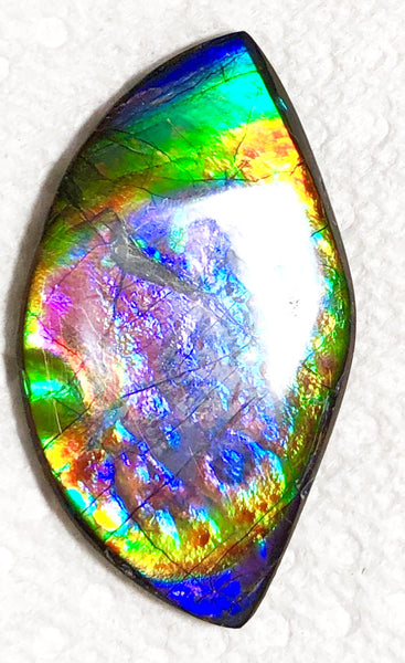 51 x 29.5x 4 mm Premium RARE Pink with gorgeous colors! Natural  Free Form . FFNT 124 Super bright  ナチュラル　ルース　アンモライト フリーフォーム Free shipping