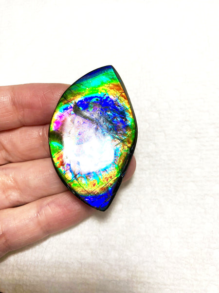 51 x 29.5x 4 mm Premium RARE Pink with gorgeous colors! Natural  Free Form . FFNT 124 Super bright  ナチュラル　ルース　アンモライト フリーフォーム Free shipping