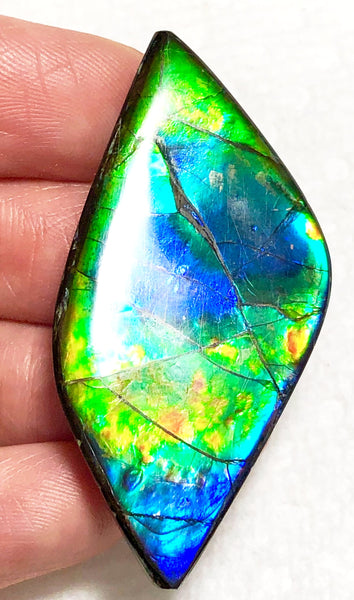 47 x 22x 5 mm  Natural  Free Form . FFNT 127 Super blue with floral pattern! Ammolite  ナチュラル　ルース　アンモライト フリーフォーム