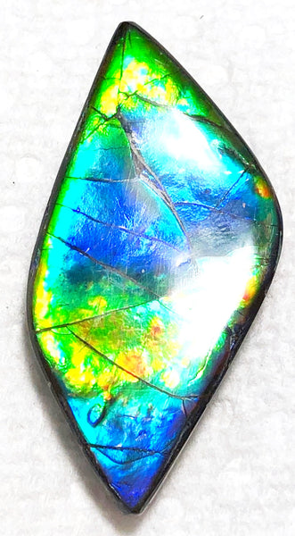 47 x 22x 5 mm  Natural  Free Form . FFNT 127 Super blue with floral pattern! Ammolite  ナチュラル　ルース　アンモライト フリーフォーム