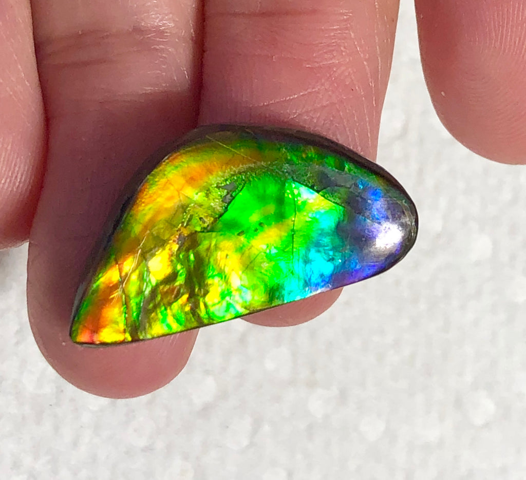 Rainbow colors 25x13mm Natural Free Form . FFN364 Ammolite