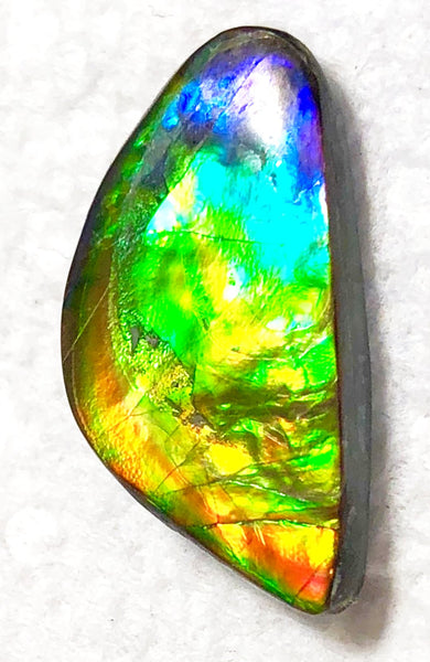 Rainbow colors 25x13mm    Natural  Free Form . FFN364  Ammolite  ナチュラル　ルース　アンモライト フリーフォーム