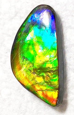 Rainbow colors 25x13mm    Natural  Free Form . FFN364  Ammolite  ナチュラル　ルース　アンモライト フリーフォーム