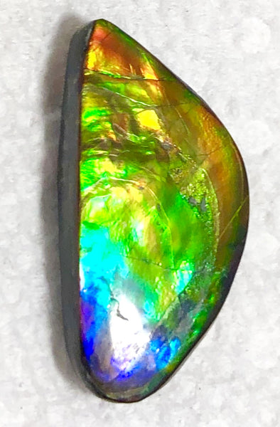 Rainbow colors 25x13mm    Natural  Free Form . FFN364  Ammolite  ナチュラル　ルース　アンモライト フリーフォーム