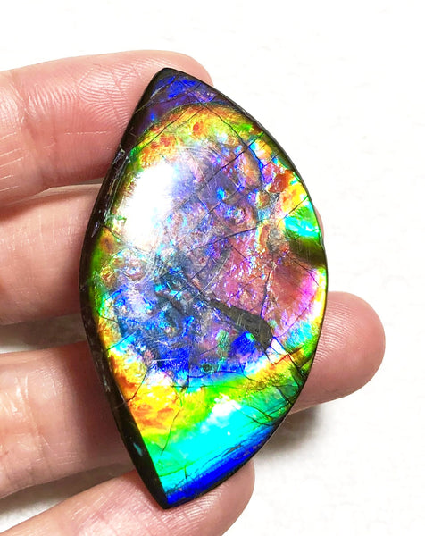 51 x 29.5x 4 mm Premium RARE Pink with gorgeous colors! Natural  Free Form . FFNT 124 Super bright  ナチュラル　ルース　アンモライト フリーフォーム Free shipping