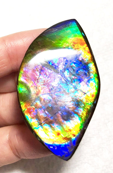 51 x 29.5x 4 mm Premium RARE Pink with gorgeous colors! Natural  Free Form . FFNT 124 Super bright  ナチュラル　ルース　アンモライト フリーフォーム Free shipping