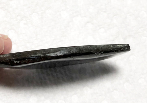 51 x 29.5x 4 mm Premium RARE Pink with gorgeous colors! Natural  Free Form . FFNT 124 Super bright  ナチュラル　ルース　アンモライト フリーフォーム Free shipping