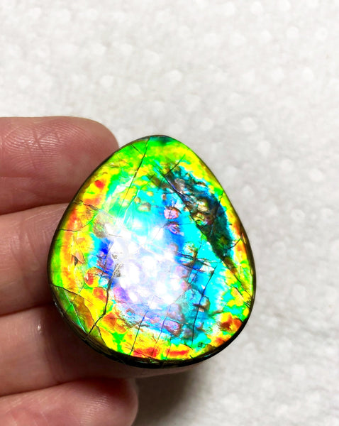 35x 30 mm Lavender Pink with gorgeous colors! Natural  Free Form . FFNT 125 Super bright  ナチュラル　ルース　アンモライト フリーフォーム