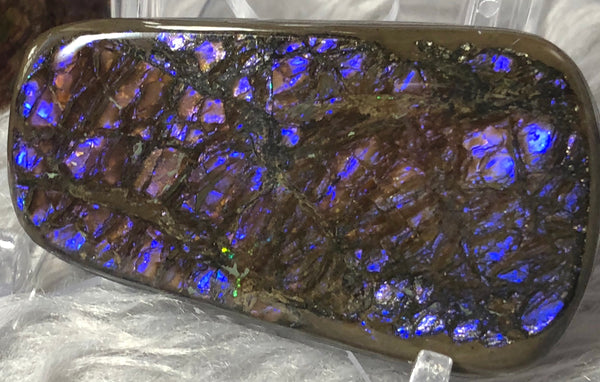 53x 30 x 5 mm Coated Free Form Dragonskin - FFC79   - アンモライト　ルース　