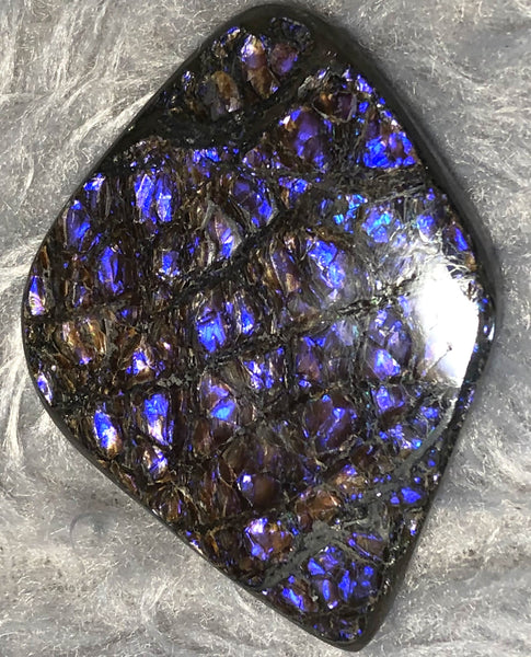 62x 47 mm  Natural  Free Form . FFN 351 Ammolite  ナチュラル　ルース　アンモライト フリーフォーム