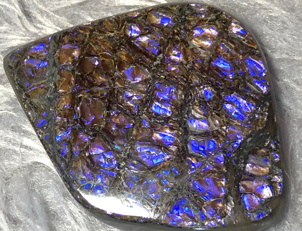 62x 47 mm  Natural  Free Form . FFN 351 Ammolite  ナチュラル　ルース　アンモライト フリーフォーム