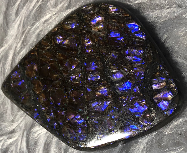 62x 47 mm  Natural  Free Form . FFN 351 Ammolite  ナチュラル　ルース　アンモライト フリーフォーム