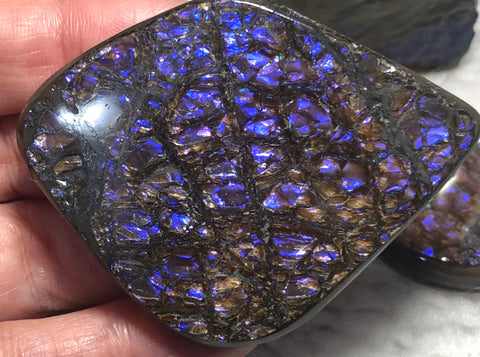 62x 47 mm  Natural  Free Form . FFN 351 Ammolite  ナチュラル　ルース　アンモライト フリーフォーム