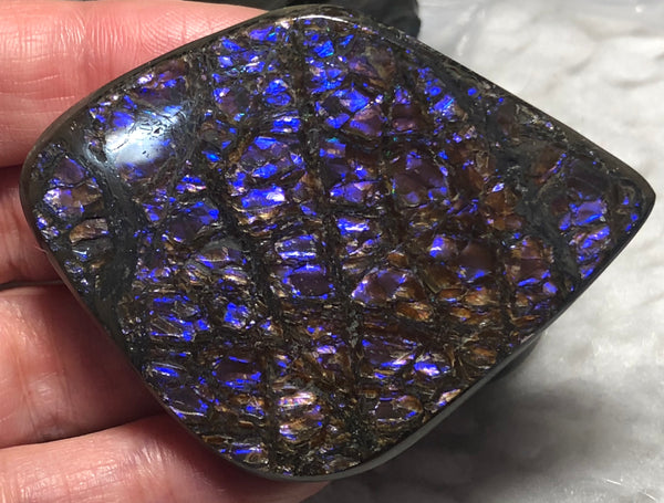 62x 47 mm  Natural  Free Form . FFN 351 Ammolite  ナチュラル　ルース　アンモライト フリーフォーム