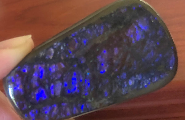 53x 30 x 5 mm Coated Free Form Dragonskin - FFC79   - アンモライト　ルース　