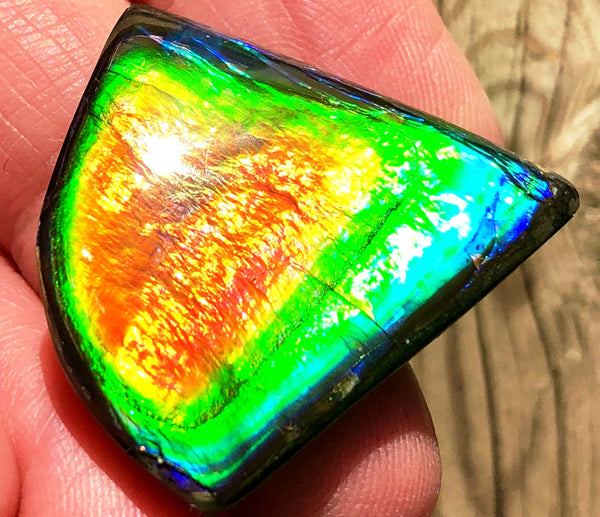 SALE 10% OFF!! 29  x 29mm  Natural  Free Form . FFNT 102 Ammolite  ナチュラル　ルース　アンモライト フリーフォーム