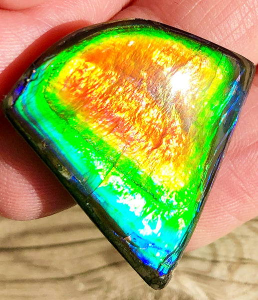 SALE 10% OFF!! 29  x 29mm  Natural  Free Form . FFNT 102 Ammolite  ナチュラル　ルース　アンモライト フリーフォーム