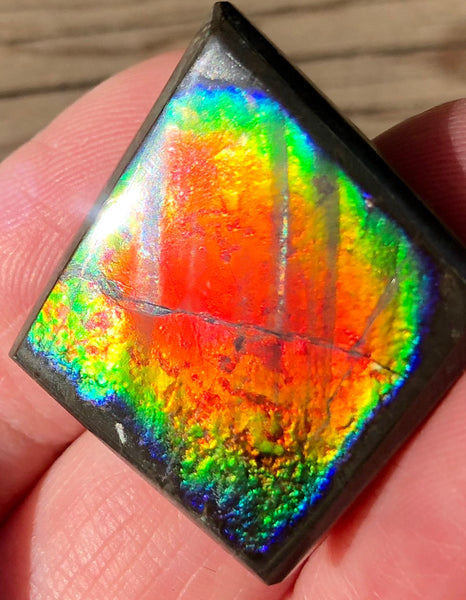 29  x 25mm  Natural  Free Form . FFNT 103 Ammolite  ナチュラル　ルース　アンモライト フリーフォーム
