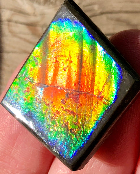 29  x 25mm  Natural  Free Form . FFNT 103 Ammolite  ナチュラル　ルース　アンモライト フリーフォーム