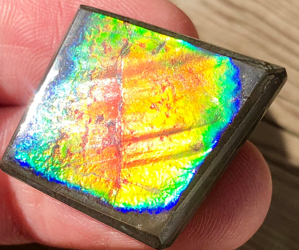 29  x 25mm  Natural  Free Form . FFNT 103 Ammolite  ナチュラル　ルース　アンモライト フリーフォーム