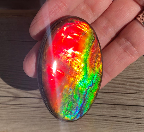 Ammolite EXTRA LARGE! 57x 37  mm Coated Free Form Oval Shaped Rainbow Fire - FFC106  アンモライト　ルース　