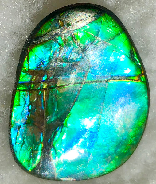 40 x 29 mm  - IMP-59 Natural Ammolite Double-Sided Imperial!　両面　レインボー！レアルース　アンモライト