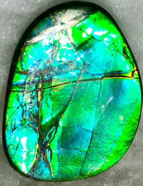 40 x 29 mm  - IMP-59 Natural Ammolite Double-Sided Imperial!　両面　レインボー！レアルース　アンモライト