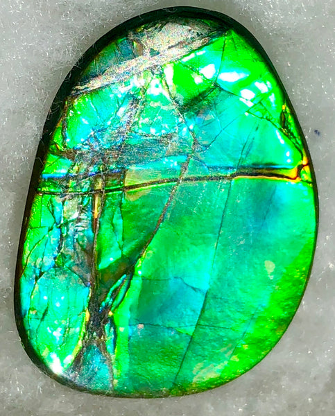40 x 29 mm  - IMP-59 Natural Ammolite Double-Sided Imperial!　両面　レインボー！レアルース　アンモライト
