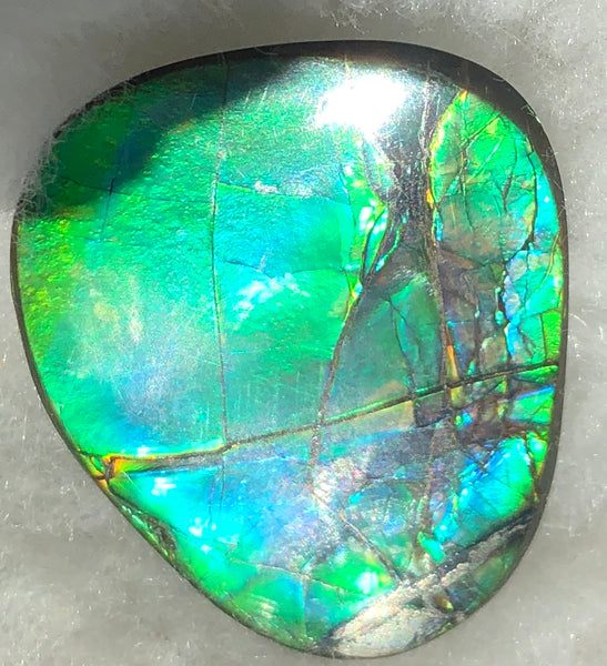 40 x 29 mm  - IMP-59 Natural Ammolite Double-Sided Imperial!　両面　レインボー！レアルース　アンモライト