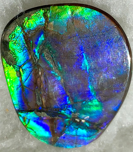 40 x 29 mm  - IMP-59 Natural Ammolite Double-Sided Imperial!　両面　レインボー！レアルース　アンモライト