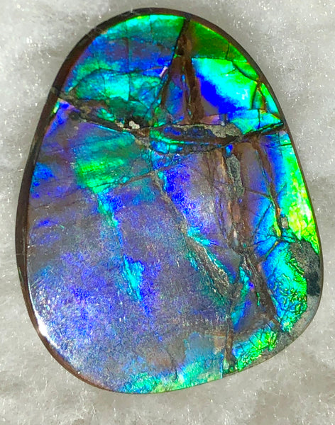 40 x 29 mm  - IMP-59 Natural Ammolite Double-Sided Imperial!　両面　レインボー！レアルース　アンモライト