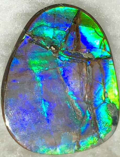 40 x 29 mm  - IMP-59 Natural Ammolite Double-Sided Imperial!　両面　レインボー！レアルース　アンモライト