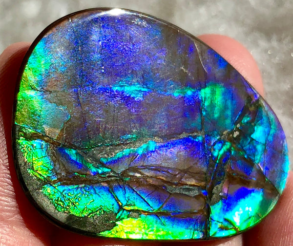 40 x 29 mm  - IMP-59 Natural Ammolite Double-Sided Imperial!　両面　レインボー！レアルース　アンモライト