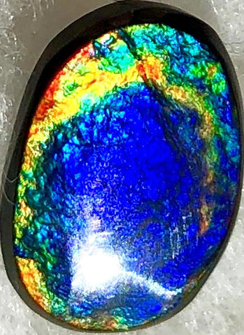 17  x 11.5 mm  Natural  Free Form . FFNT 100 Ammolite  ナチュラル　ルース　アンモライト フリーフォーム