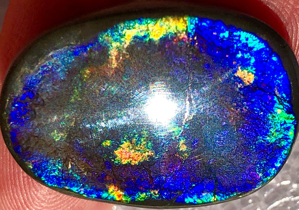 24  x 18 mm  Natural  Free Form . FFNT 104 Ammolite  ナチュラル　ルース　アンモライト フリーフォーム