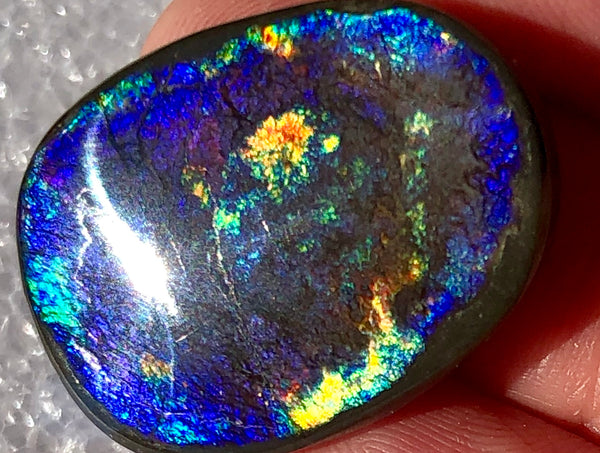 24  x 18 mm  Natural  Free Form . FFNT 104 Ammolite  ナチュラル　ルース　アンモライト フリーフォーム