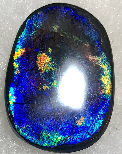 24  x 18 mm  Natural  Free Form . FFNT 104 Ammolite  ナチュラル　ルース　アンモライト フリーフォーム