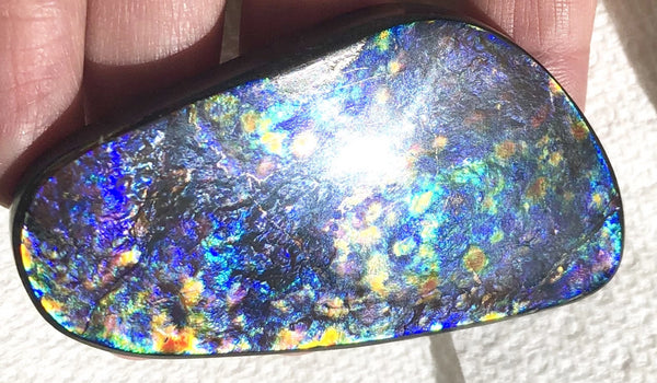 68 x36x6㎜ Natural  Free Form . FFNT 137 Ammolite  Floral BEAUTY FREE SHIPPING! ナチュラル　ルース　アンモライト フリーフォーム