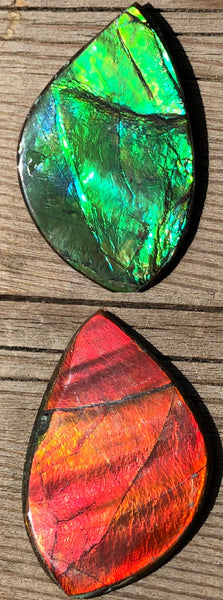 28 x 18  mm  - IMP-63-1 Natural Ammolite Double-Sided Imperial!　両面　ブライトカラー！レアルース　アンモライト