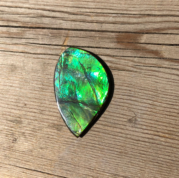 28 x 18  mm  - IMP-63-1 Natural Ammolite Double-Sided Imperial!　両面　ブライトカラー！レアルース　アンモライト