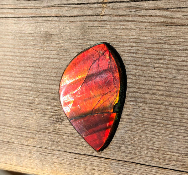 28 x 18  mm  - IMP-63-1 Natural Ammolite Double-Sided Imperial!　両面　ブライトカラー！レアルース　アンモライト